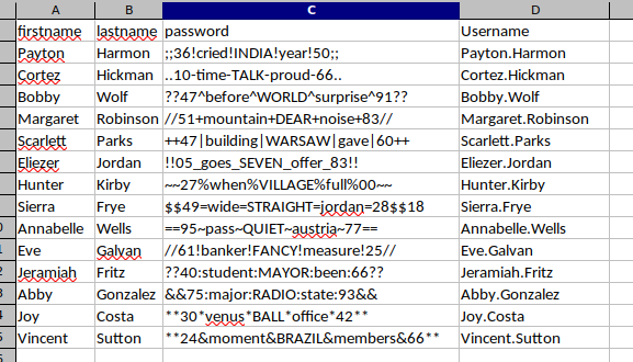 A screenshot of the spreadsheet with column C showing.  Column C is labeled "password" and the passwords for 14 user accounts are shown.