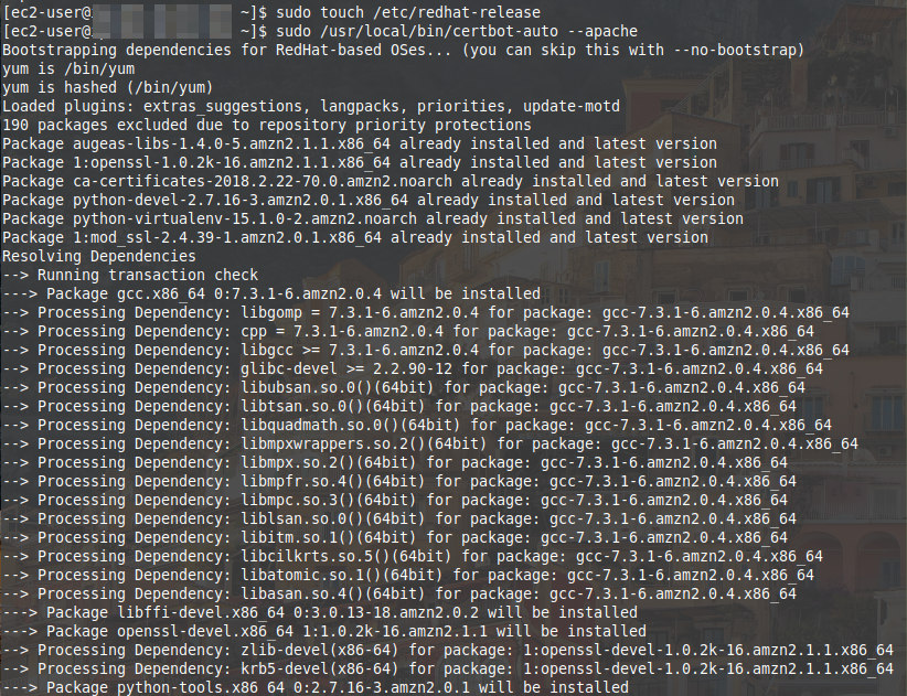 Command line screenshot of me tricking certbot into believing that I am a Red Hat box, not Amazon Linux.