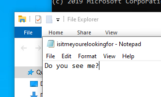 A snippet of me echo-ing out a reverse calling card on the remote Windows shell